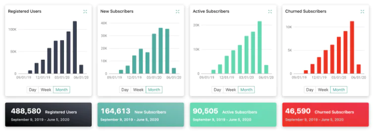 User and Subscriber Statistics Overview Bar charts showing registered users, new subscribers, active subscribers, and churned subscribers.
